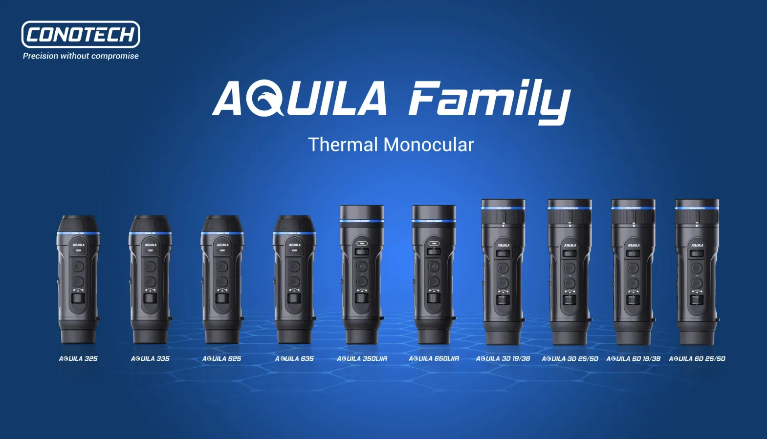 Aquila